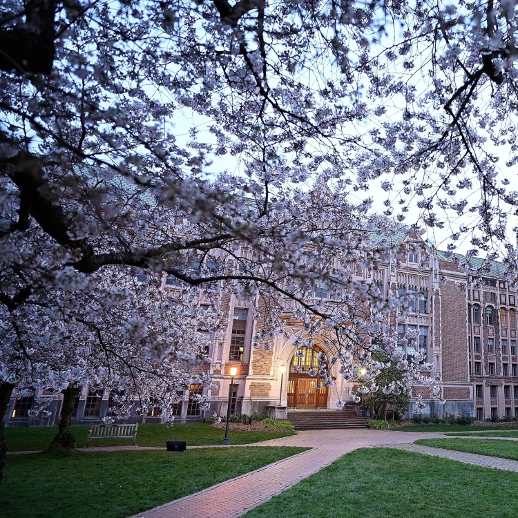 Photography: Spring at University of Washington